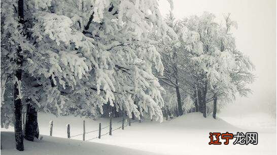 风水堂：怀孕梦见下大雪预示什么做梦