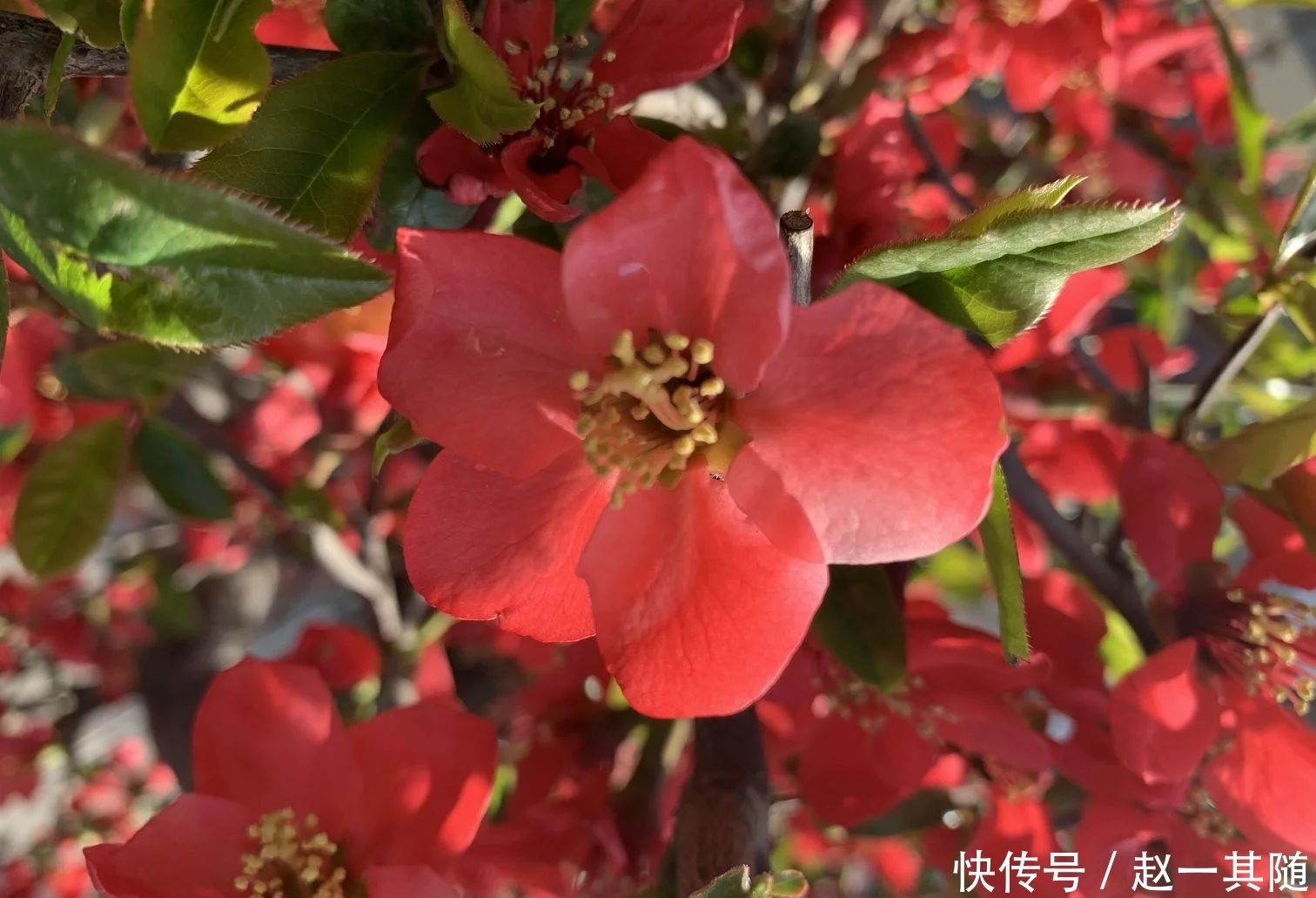 一则风水堂:就是中天易八字命理学大道至简例举