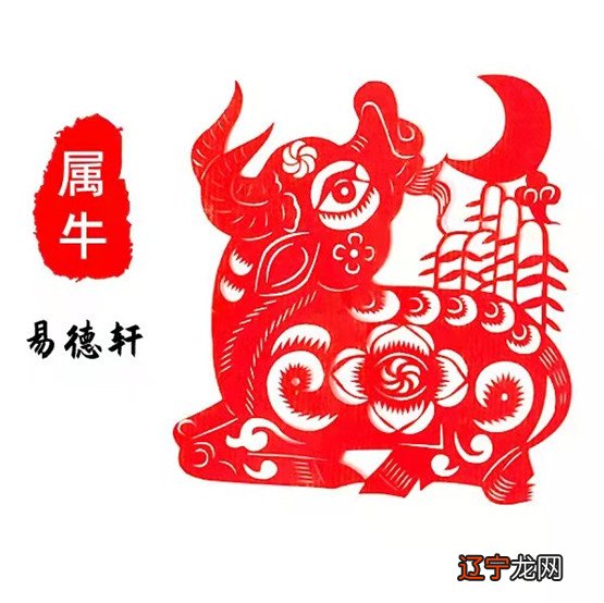 2019年十二生肖马运势在财运上如何看的话