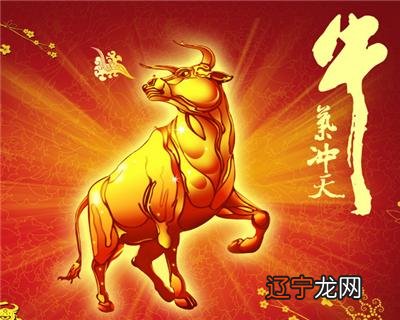 2019年十二生肖马运势在财运上如何看的话