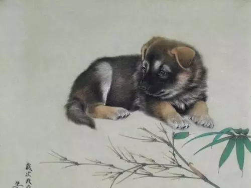 一下女属猪和什么属相最配女男属马相配吗