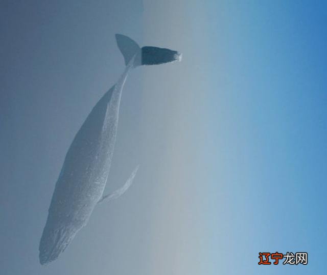 恋爱诀窍之风象星座篇——本篇内容适用于：双子座