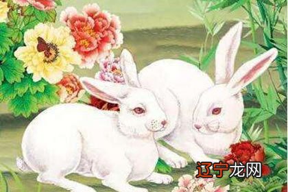 风水堂:八字合婚是怎么合的?