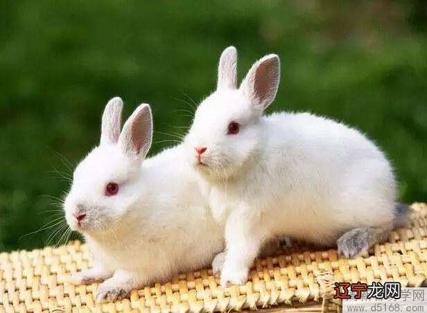 风水堂:八字合婚是怎么合的?