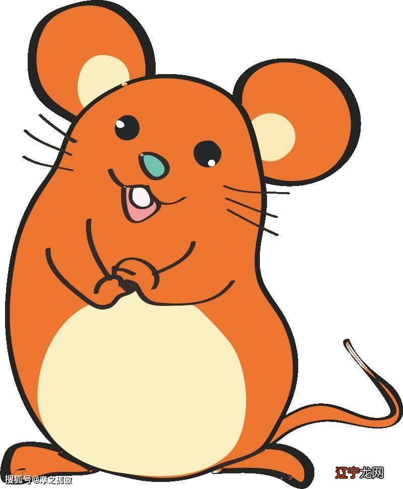 1948年属鼠的是什么命2021年运势大全及破解爱情运势