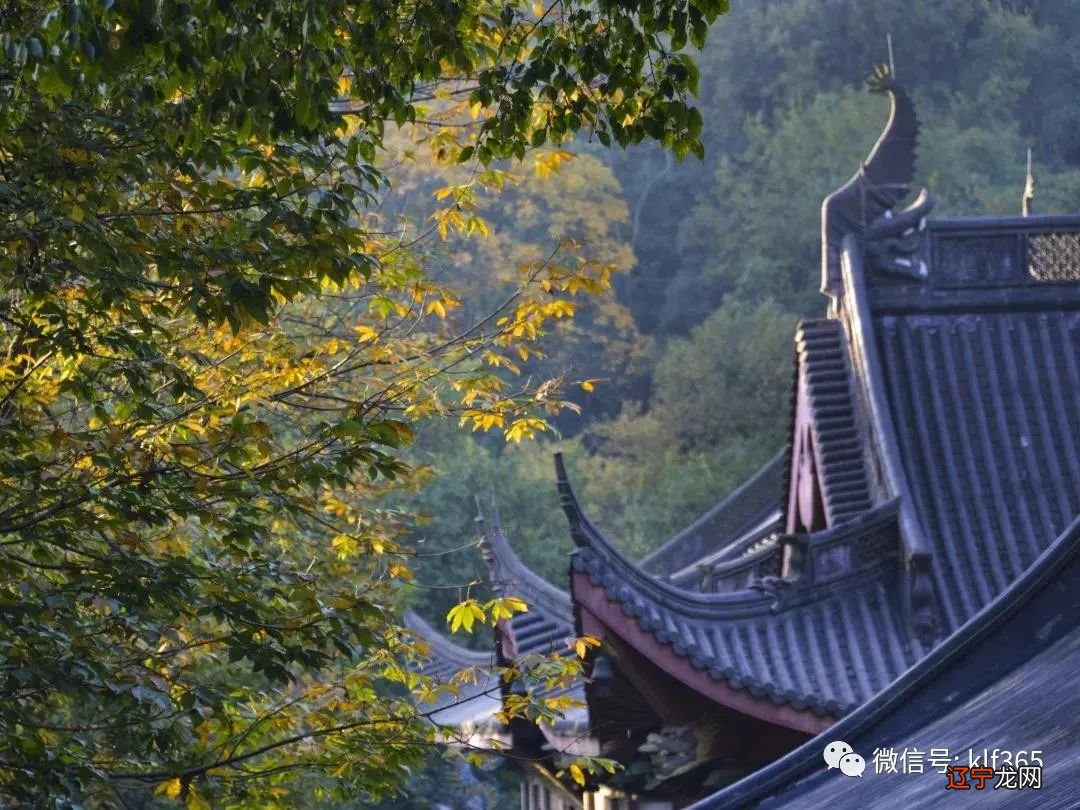 中国人向来重视养生,《黄帝内经·素问》提出了八个字