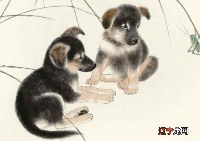 1982年出生的人，2019年财运平稳的3大生肖