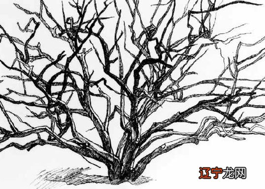 世界很少从民间去认识中国——乔晓光汤谷