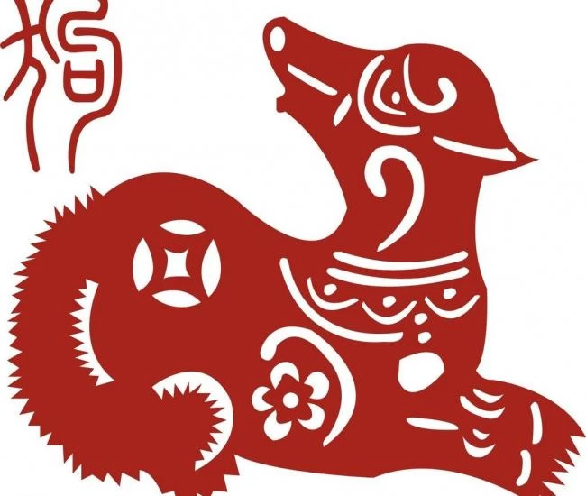 91年的羊是什么命属羊的女人和什么属相羊鼠