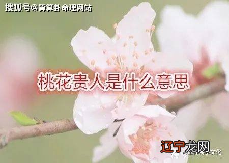 哪个八字合婚网站比较准_测八字软件哪个比较准_哪个网站测八字比较准