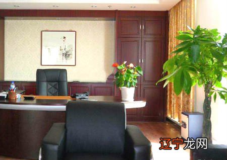 助你提升财运 慈世堂:办公室风水植物摆放秘诀