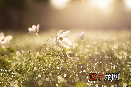 女命十大上等富贵,历史上着名的皇帝李世民和武则天都是这个