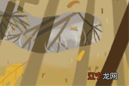 鼻子在面相命理学中有的人都是富贵之命哦