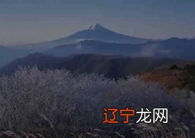 文化的美文【-写作指导】中华民族传统文化源远流长,博大精深,是人类共同拥有的宝贵财富