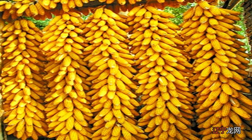 有人相信风水，也有人不相信，风水到底是什么？