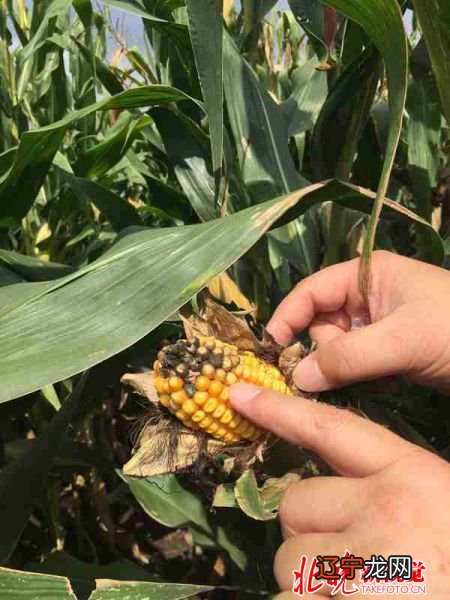 有人相信风水，也有人不相信，风水到底是什么？