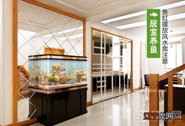 客厅鱼缸放在哪里既对鱼儿好又有个好风水