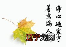 的算命经验使我对易学界和八字等算命方法