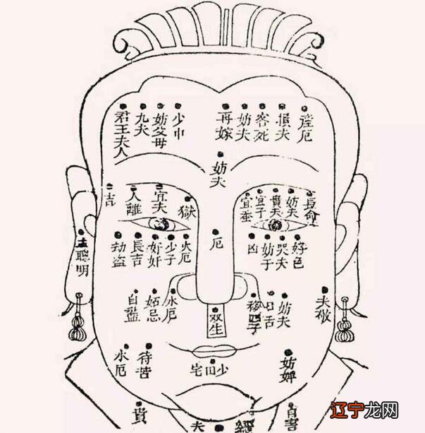 术数必知：术数入门书籍有哪些是寻求先知的方法