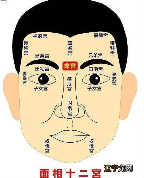 术数必知：术数入门书籍有哪些是寻求先知的方法