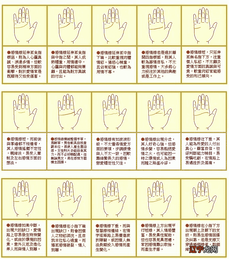 男手相图解大全如何看手相男生图解，我们的手！