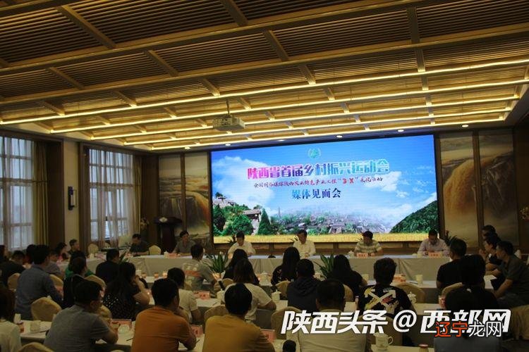 渭南市桥南镇“素心山谷里”特色民宿每天都有众多游客慕名前来