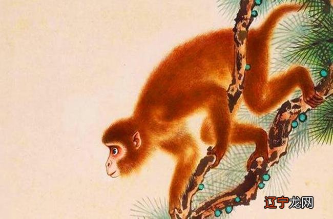 2025年猴年属鼠的人运程是怎样的呢？