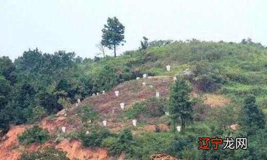 【李向东】八字如何看坟山?看完你就知道了