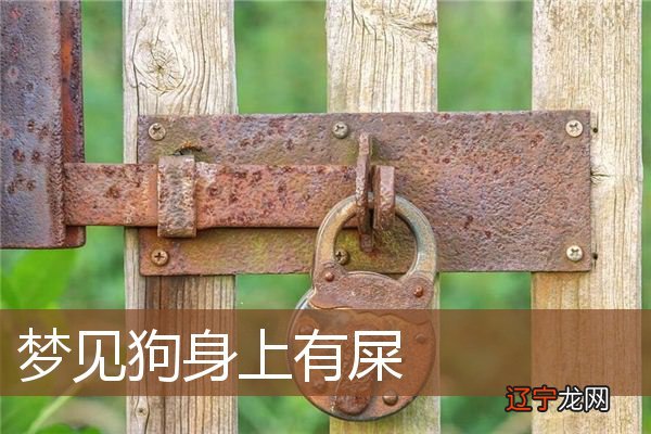 周公解梦:梦见狗,有什麽好情报传来的可能