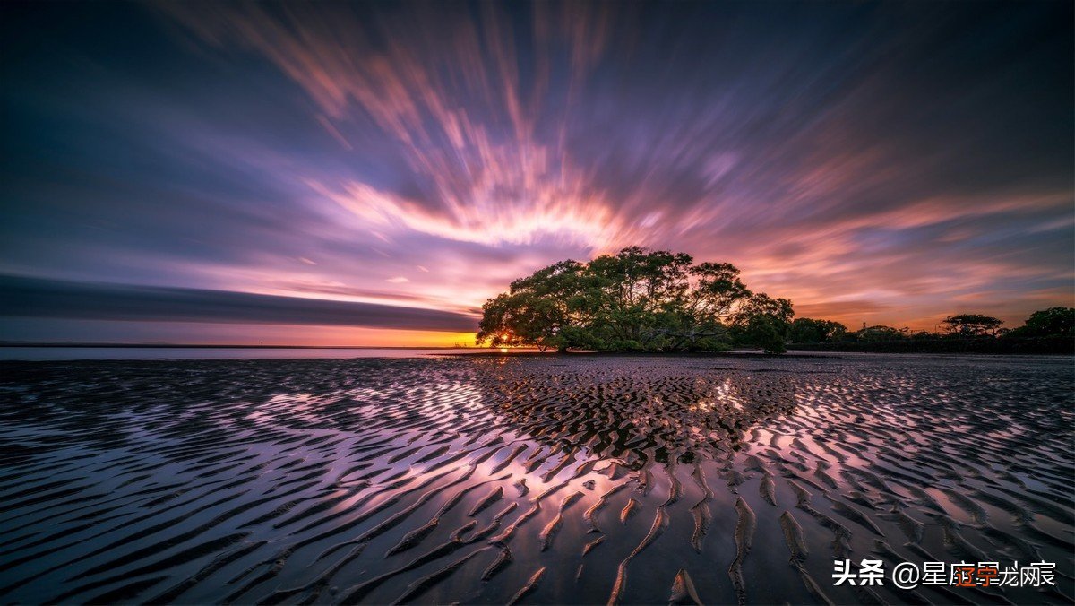 朝气蓬勃，热情积极的火象星座，告诉我们什么叫生命力