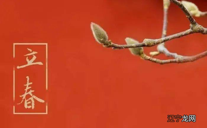 生肖属啥到底是应该以立春为准还是以春节为标准?