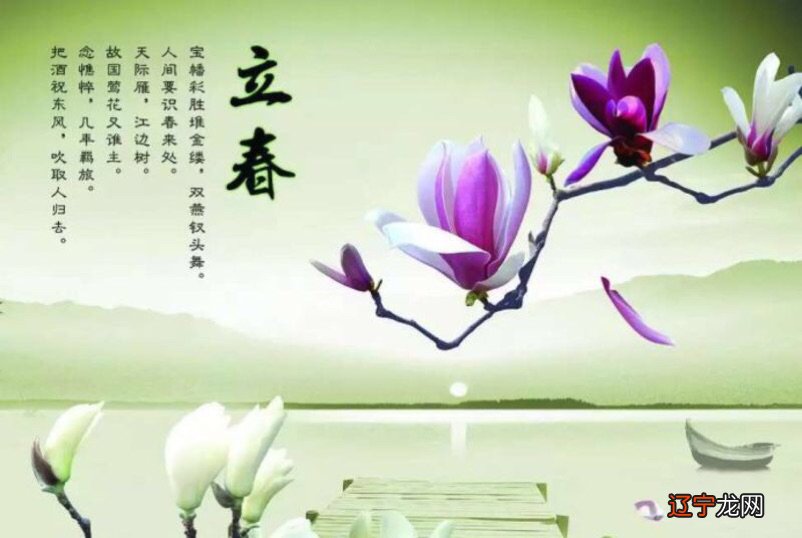 生肖属啥到底是应该以立春为准还是以春节为标准?