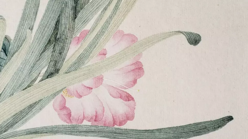 风水堂:八字算命真有这么准?