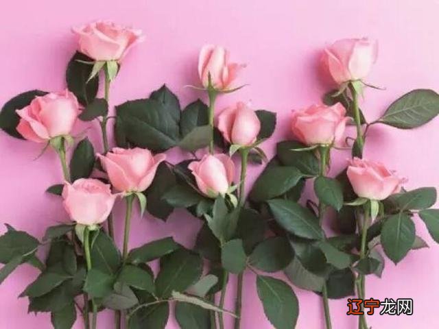 易道风水命理:1998年属什么生肖的命运如何?