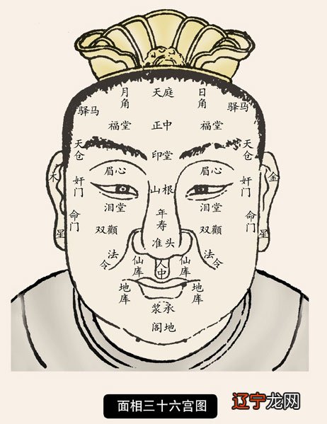 超准 初学风水,看相,看什么书?