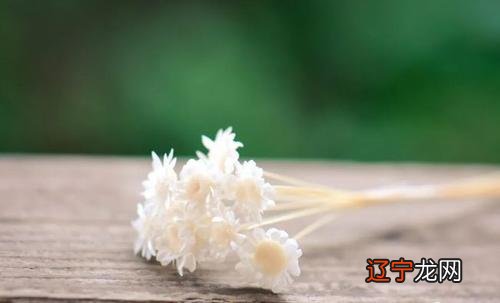 生辰八字带什么桃花旺桃花运旺盛的女人八字特征