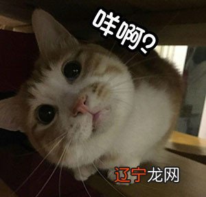 节气中所包蕴的传统民俗文化择要分类叙述-节气时令信仰