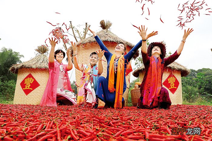 民俗与旅游民俗文化的类型及发展趋势