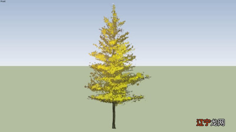 风水堂:八字中有印星，一生万通少病症