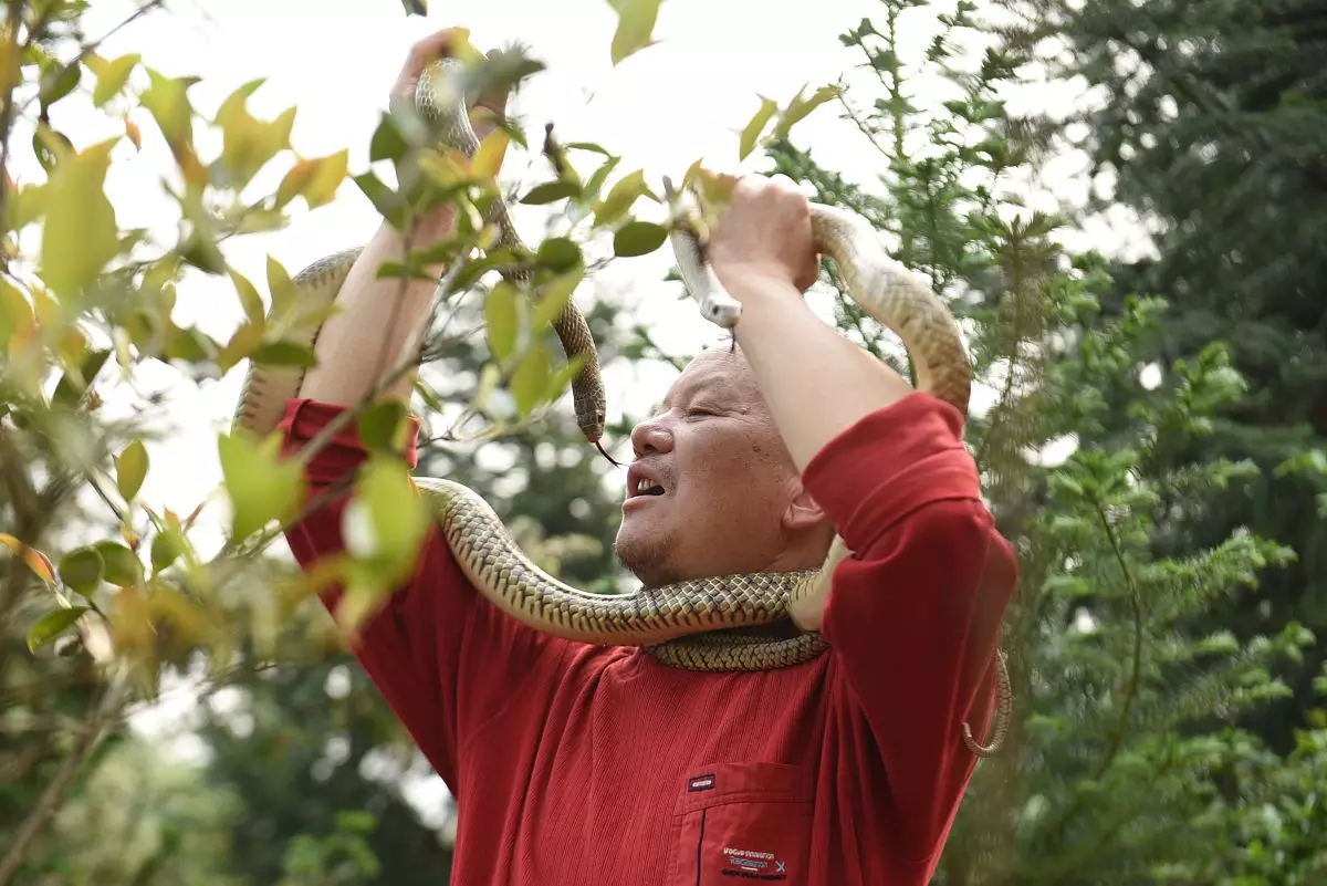 组图 算命图解大全女人算命和羊的婚姻怎么样?