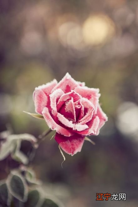 成年人起名改名,成年人改名的方法大全:名字对人非常重要