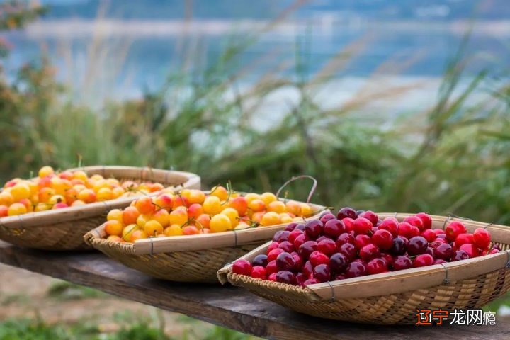 组图 央视新闻《夜读》X水墨画家皇小小特别呈现