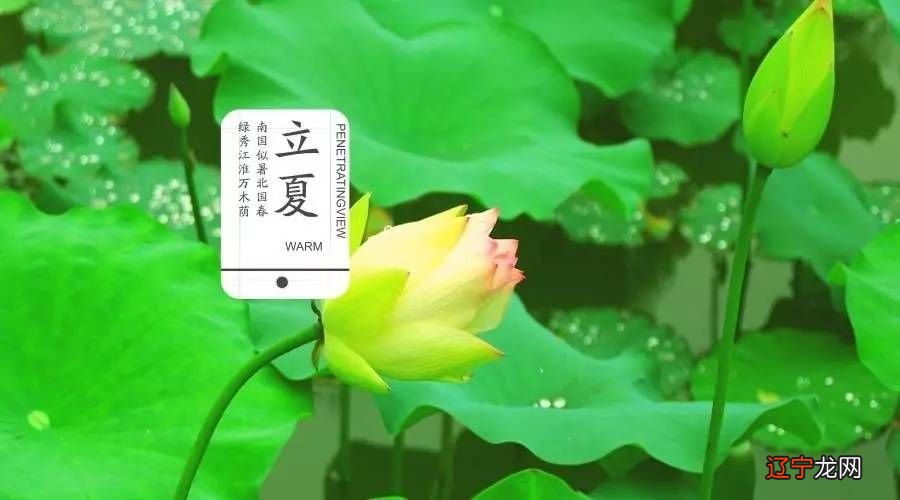 组图 央视新闻《夜读》X水墨画家皇小小特别呈现