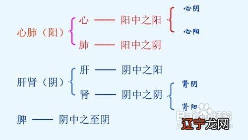 中医治疗“五术”的方法与治疗的一种方法