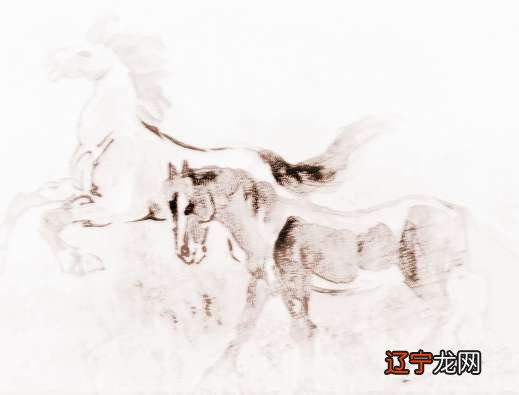 1954年属哪个生肖属相属相:马;午;午马