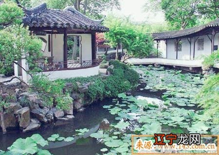 风水堂:八字忌木的人一般不太适合接触