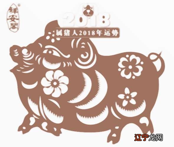 2019年属猪是什么命出生日命运:属猪的人哪出生好?