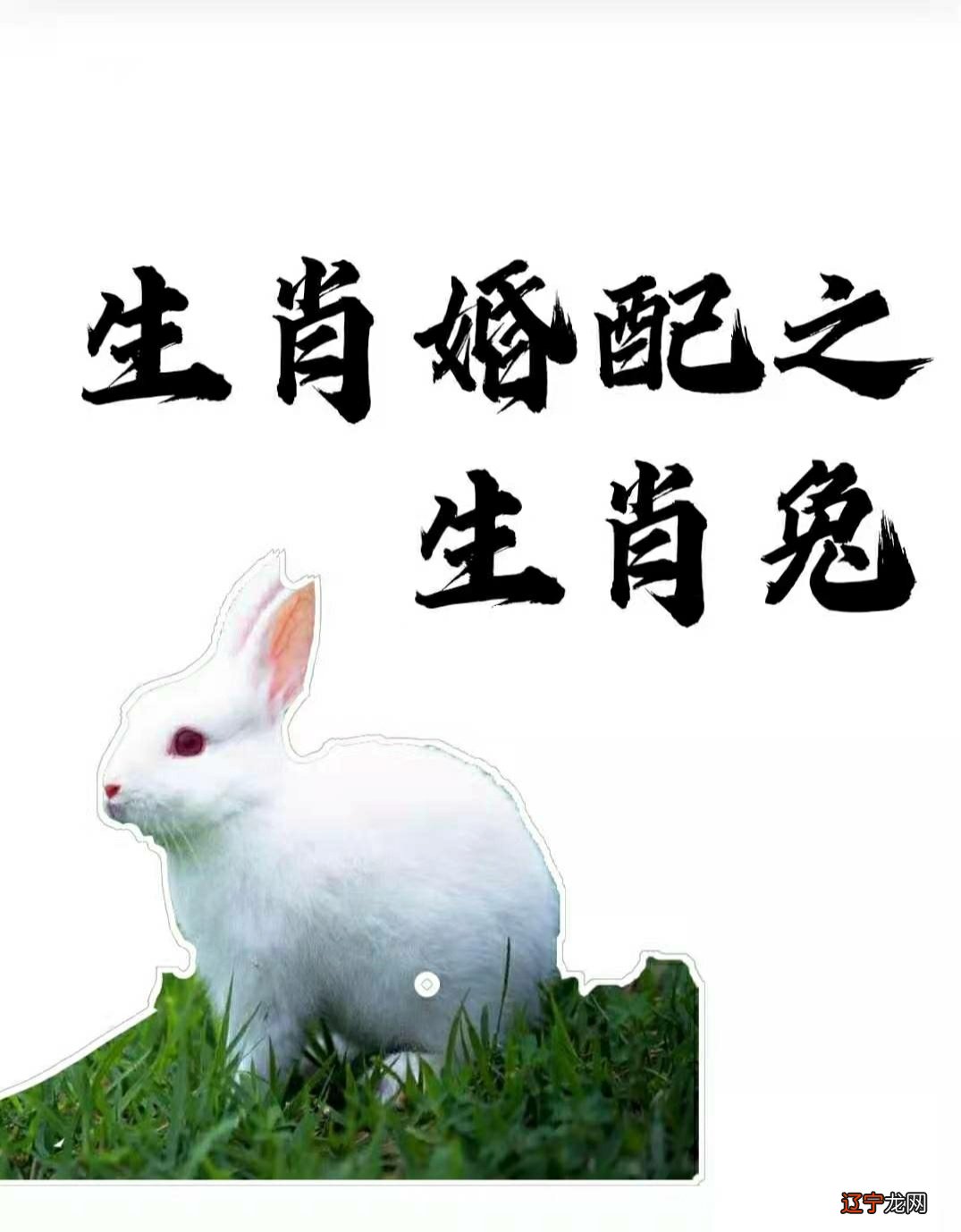 39岁的人属什么生肖，你知道这是怎么回事吗