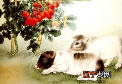 十二生肖五月运势，信则有，不信则无哦的生肖！