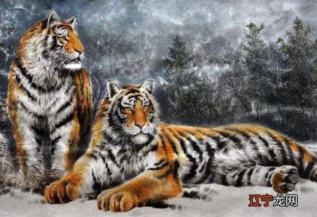 十二生肖五月运势，信则有，不信则无哦的生肖！